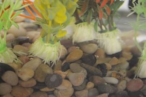 Premium Aquarium Gravel 8-12mm 25kg