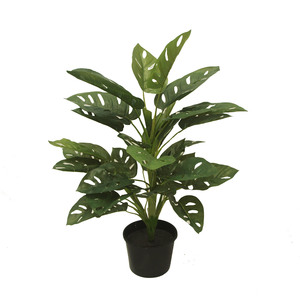 Artificial Monstera Adansoni Bush 50cm Greenery Imports NZ