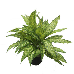 Artificial Double Aglaonema Bush 50cm Potted