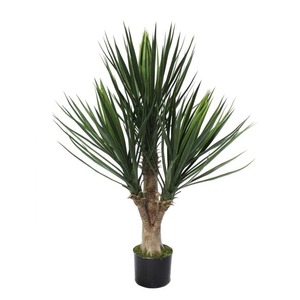 Products: Yucca Tree Triple Stem100cm UV Stabilised Greenery Imports NZ