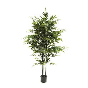 Artificial Bamboo Bambusa Black Stem 1.8m