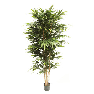 Artificial Bamboo Bambusa 2.2m