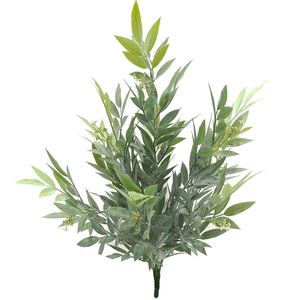 Products: Ruscus Bush 50cm Greenery Imports NZ