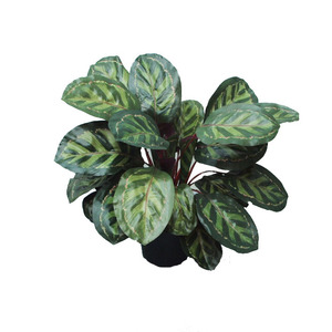 Artificial Peacock Bush 45cm Potted