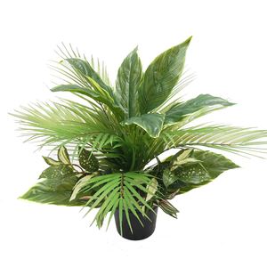 Hosta and Palm Leaves Arrangement Mix 53cm (No Pot) Greenery Imports NZ