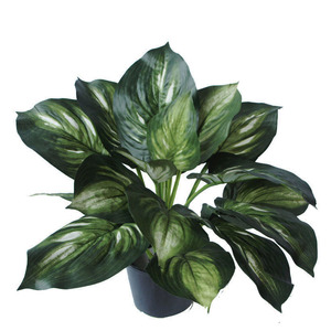 Products: Artificial Hosta Plant 45cm Potted