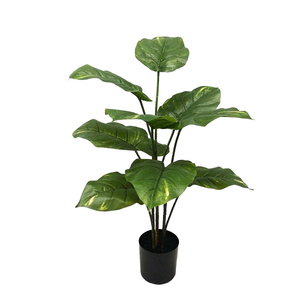 Products: Artificial Pothos 75cm Potted