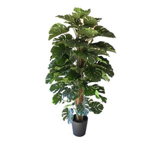 Products: Monsteria Totem 1.8m