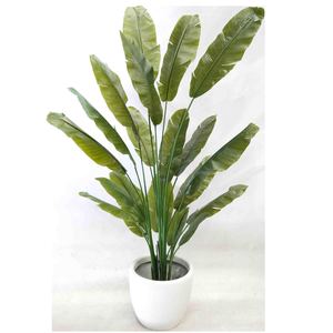 Travellers Palm Real Touch Leaves 210cm with White Decorative Fiberglass Pot Gre&hellip;