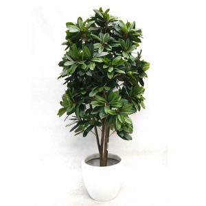 Artificial Lady Schefflera Tree 180cm with White Fiberglass Pot Greenery Imports NZ