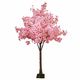 Cherry Blossom Tree with Pink Flowers 1.9m Greenery Imports NZ