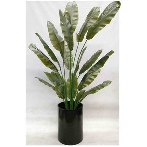 Travellers Palm Real Touch Leaves 210cm with Black Fiberglass Pot Greenery Imports NZ
