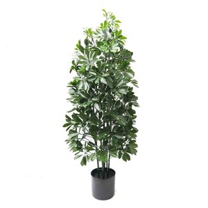 Pittosporum Tree 1.2m UV Stabilised Greenery Imports NZ