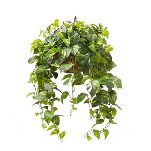 Double Pothos Vine Real Touch Leaves 88cm Hanging Basket Greenery Imports NZ