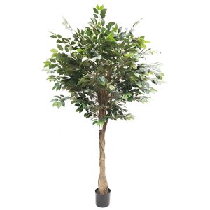 Products: Ficus Tree UV Stabilised 180cm Greenery Imports NZ