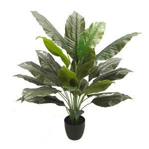 Spathiphylum Plant with Real Touch Leaves 1.1m Greenery Imports NZ