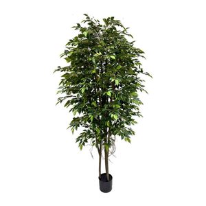 Ficus Tree 240cm with Hanging Roots Greenery Imports NZ