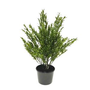 Double Artificial Rosemary Bush 60cm UV Stabilised Potted