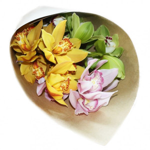 Flowers: Cymbidium Orchids