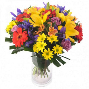 Flowers: Bright Blooms