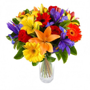 Flowers: Morning Glory