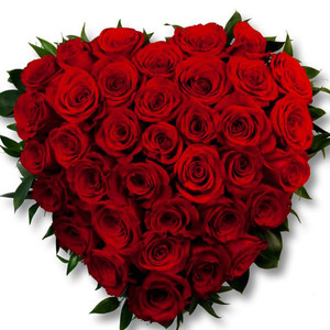 Flowers: Red Rose Heart