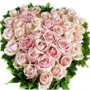 Flowers: Mixed Pink Rose Heart