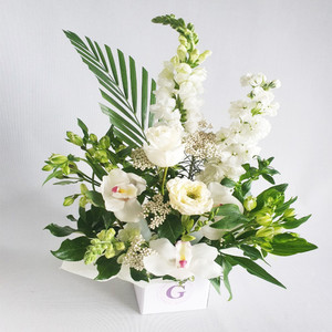 Products: White Simplicity