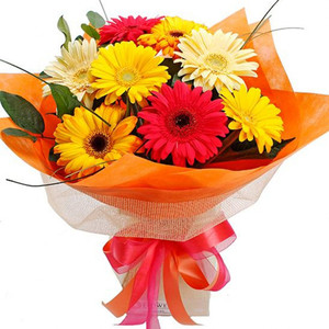 Get Well/Hospital: Bright Gerbera Bouquet