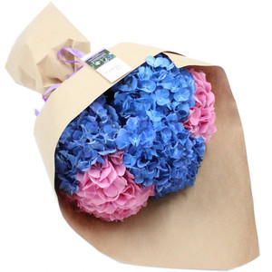 Seasonal Cut Flowers: Hydrangea