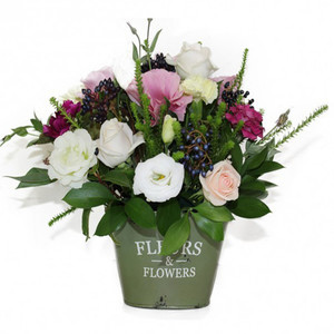Get Well/Hospital: Fleurs Flowers