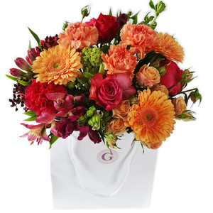 Get Well/Hospital: Fresh Amber