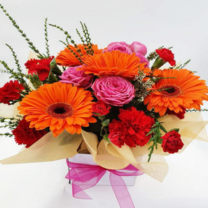 Get Well/Hospital: Juicy Orange