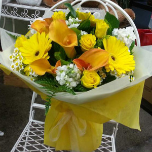 Get Well/Hospital: Lime Zest