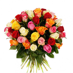 Valentine's Day: Bright Mixed Rose