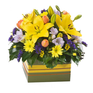 Occasions: Bright Box Arrangement