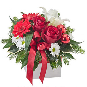 Occasions: Christmas Splendour