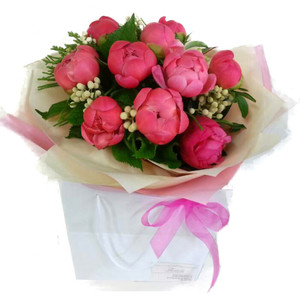 Main Page: Fancy Peonies