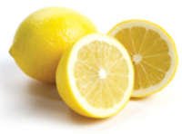 Lemon Meyer Rainbow – Pb8