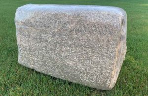 CF 4 with Oslo Porcelain Pedestal greenloo.org.nz