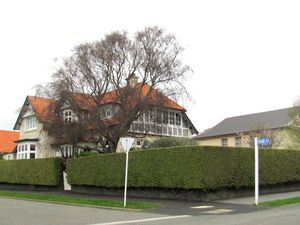 25x Golden Ake Ake - $2.99 each