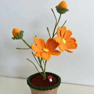 Orange: Sunburst Bloom - Forever blooms