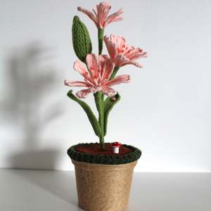 Blush Lily Bloom - Forever bloom Collection