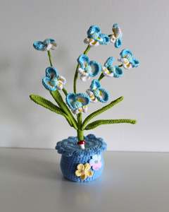 All: Blue Primrose - Forever bloom