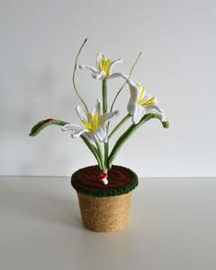 All: Eternal White Lily - Forever bloom