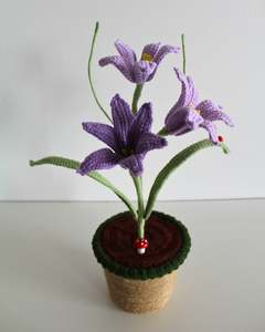 All: Lavender Lily Bloom - Forever bloom
