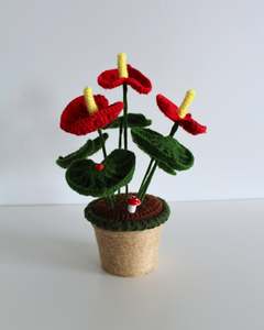 All: Scarlet Anthurium - Forever bloom