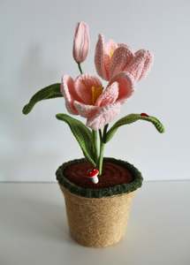 All: Soft Rose Tulip - Forever bloom