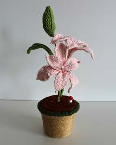 All: Blush Lily Bloom - Forever bloom