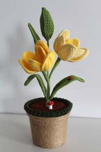 Enchanted Tulip - Forever blooms